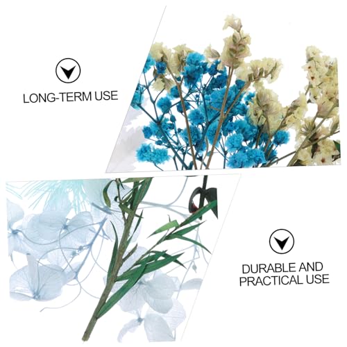 Real Dried Flowers Material para Manualidades Kit miniatura 3