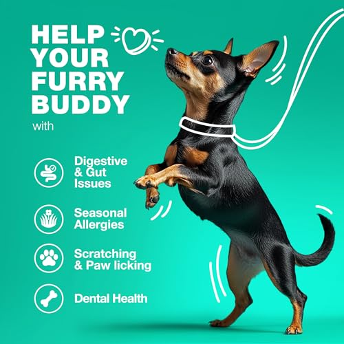 Probiotics for Dogs - Dog Probiotics for Digestive Health - Dog Supplements for Gut and Immunity Health - Probiotic Chews for Dogs with Digestive Enzymes for Seasonal Allergies - Skin & Coat Support