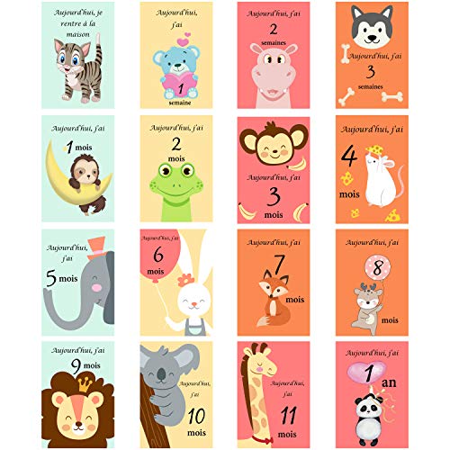 Carte Etape Bebe Garcon En Francais Amazon Fr Produits Handmade