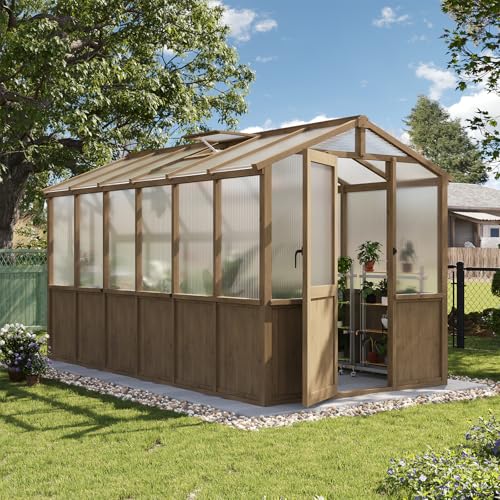 Aoxun 6x12 Wooden Greenhouse