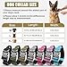 AKOFIC Taktisches Hundehalsband mit Griff, Breites Halsband Hund Gepolstert aus Nylon, Verstellbar Robuster Dog Collar mit Metallschnalle für Mittlere Große Hunde (Dunkelkhaki, M)
