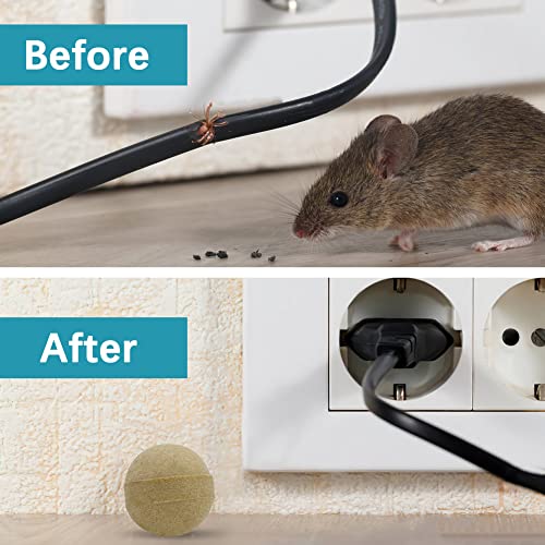 Suavec Rodent Repellent, Mouse Repellent Peppermint, Outdoor Mint Mice Repellent, Rat Repellent For House, Rv Mouse Repellant, Mice Away, Rat Deterrent, Peppermint Oil To Repel Mice And Rats- 8 Packs #TOP5