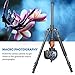 GEEKOTO 58” Magnetic Tripod, Compact Aluminum Alloy Lightweight Magsafe Camera Tripod with 360 Degree Panorama Ball Head, Professional Camera Tripod for Travelling, Learning and Working