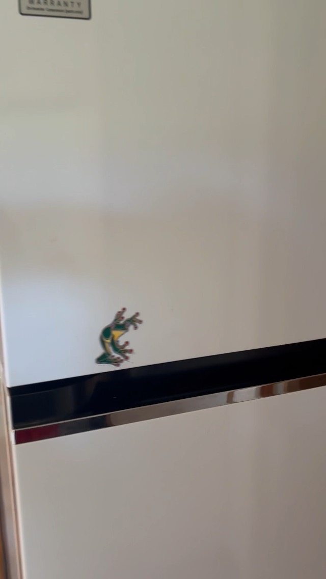 Whats so good about this fridge? Honest review