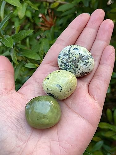 Image of GAF TREASURES 1 /2 LB Serpentine Tumbled Stones, Polished Serpentine Gemstone, Serpentine Healing Crystals (Serpentine)