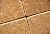 Noce 4 X 4 Travertine Tumbled Tile