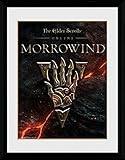 Listo para colgar The Elder Scrolls Online Póster Morrowind, Logo Cuadro Enmarcado con Fine Passepartout  Cuadros De Pared  En Un Marco De Imagen 40x30 cm