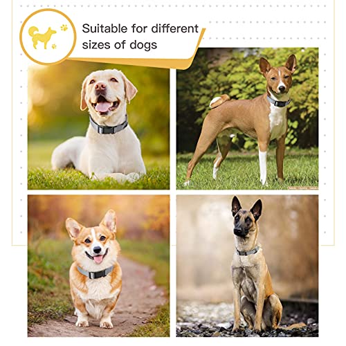 Image of HEELE Dog Collar, Reflective Dog Collar, Soft Neoprene Padded Breathable Nylon Pet Collar Adjustable for Small Dogs Puppy, Gray, XS(7.87-11.81 inch)