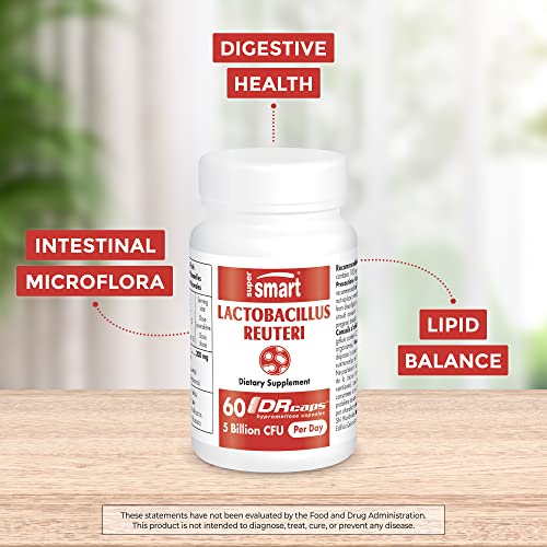 Supersmart - Lactobacillus Reuteri 5 Billion Cfu Per Day (Probiotic Supplement) - Digestive Health - Intestinal Microflora Balance - Normal Lipid Balance | Non-Gmo & Gluten Free - 60 Dr Capsules #TOP1