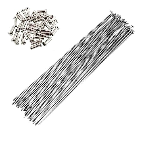 Rayons de vélo 14G en acier inoxydable 282 mm haute résistance pour VTT et route