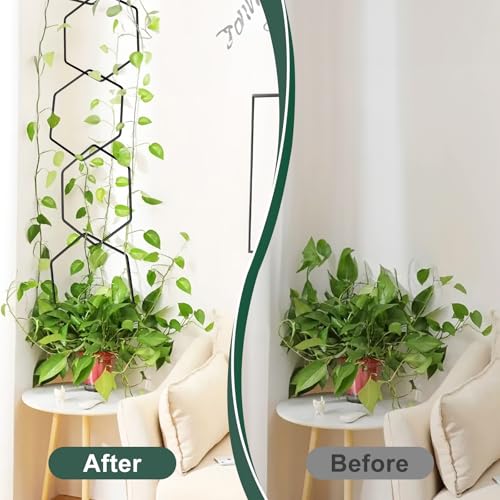 Recopilación y reviews de Enrejado para trepadoras exterior comprados en linea. 5 Imagen adicional