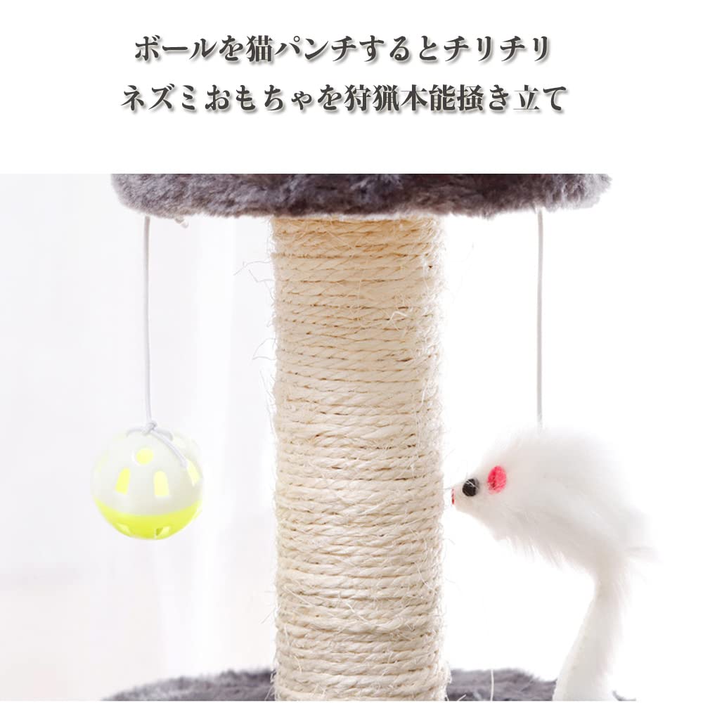 イキャットストア Amazon | IYOIYA 子猫 爪研ぎ ケージ取り付け キャットタワー 踏み台