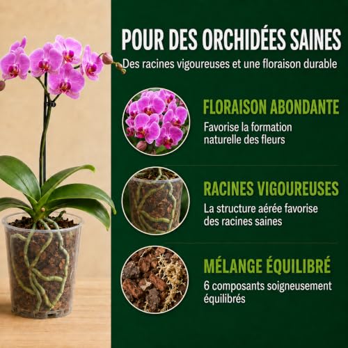 Garten Lux Substrat Terreau pour Orchidées, 6 Composants, Rempotage, 2,5L – vue 2
