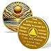 Golden Coast Sobriety Coin Gift | Sunrise and Serenity Prayer for AA Chip Medallion with Coin Capsule, Sobriety Gifts for Anniversary Month & Year for Men & Women in Recovery