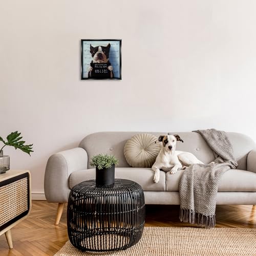 Image of Boston Terrier Mugshot Humor, 17 x 17 Inch Canvas in Floater Frame | Stupell Industries . By Lucia Heffernan . Ready to hang once unboxed . Great gift for dog lovers . Made in USA