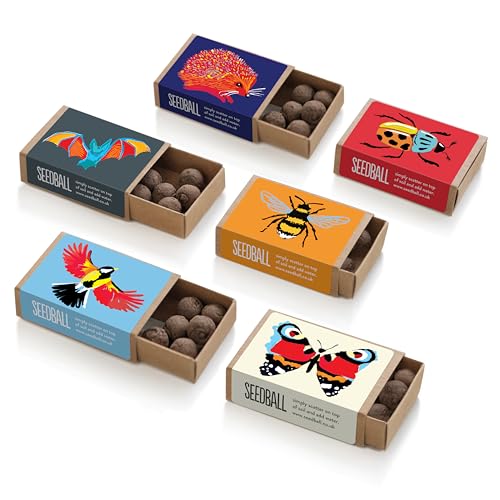 SEEDBALL Wildflower Seed Bombs Wildlife Collection (6 Wildflower Mixes) | Eco Friendly British Wild Flower Seed Balls for Attracting Bees Butterflies Birds & Bats - Gardening Gifts for Women & Kids