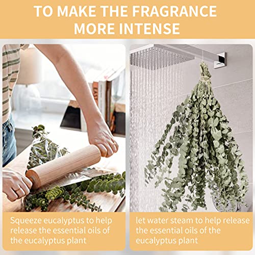 20 Pcs Dried Eucalyptus Bundle For Shower Head Hanging Plant Stems, 17" Natural Real Eucalyptus For Home, Diy, Hotel, Office, Baby-Shower, Greenery Decoration #TOP4