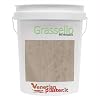 Grassello Authentic Venetian Plaster | Polished Plaster | Made in Italy from Lime & Marble | Earth Tone (17) | Color: BMCW385 Coffeeehouse Ochre
