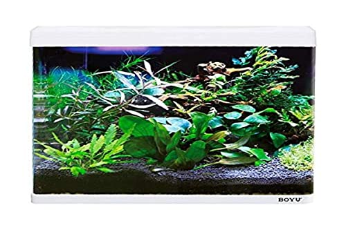Boyu - Aquário Curvo Ec-600 66L Branco 127v