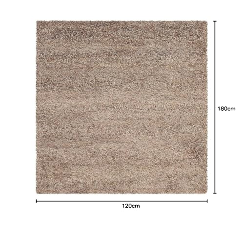 Image of F & B RUGS ; SUPERIOR QUALITY PRODUCTS Firoz and Brothers Handwoven Super Soft Indoor Modern Shag Microfibre Silky Fluffy Smooth 4x6 feet Beige A Rectangular