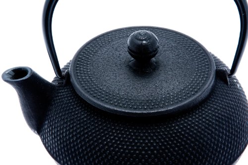 Iwachu Japanese Iron Tetsubin Teapot, Hobnail, Black #TOP1