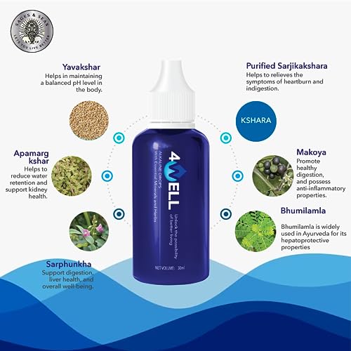 Image of SAGES & SEAS 4Well Alkaline Water Blue Drops 30Ml | Mineral Infuser For Enhanced Hydration | Balance Ph Level | Improve Taste And Health Benefits | Water Purifier Drops