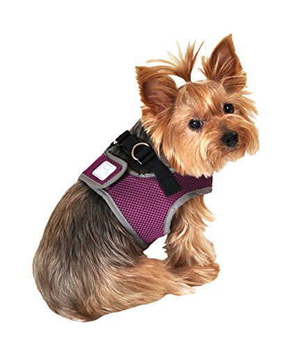 Wild Aster Reflective Body Harness