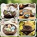 Exasinine 10 Pcs 5.5'' Artificial Bird Nest for Crafts, Easter, Party, Wedding, Patio Garden, Succulent Planter, Moss Landscape, DIY Terrarium and Spring Vignettes (5.5 Inches)