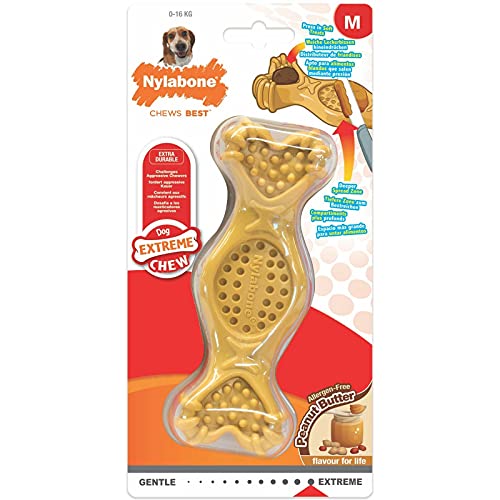Nylabone Golosina rellenable de la Gama Extreme Perros | Sabor a Mantequilla de Cacahuete | Juguete masticable para Perros con mordida Potente | Mediano | para Perros de hasta 16 kg