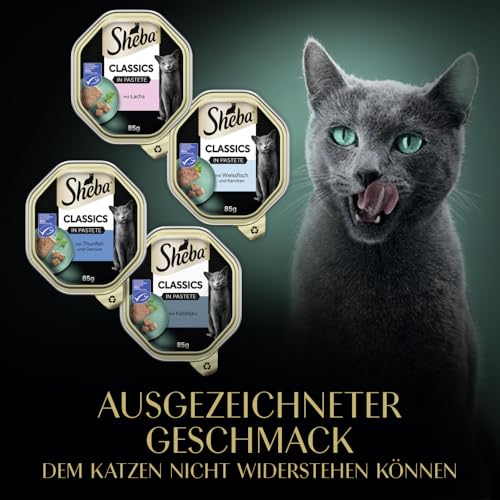 Sheba Classics in Pastete- Feinstes Katzennassfutter in der Schale - Fisch Variation (MSC) mit Lachs, Weißfisch, Thunfisch und Kabeljau - 32 x 85g