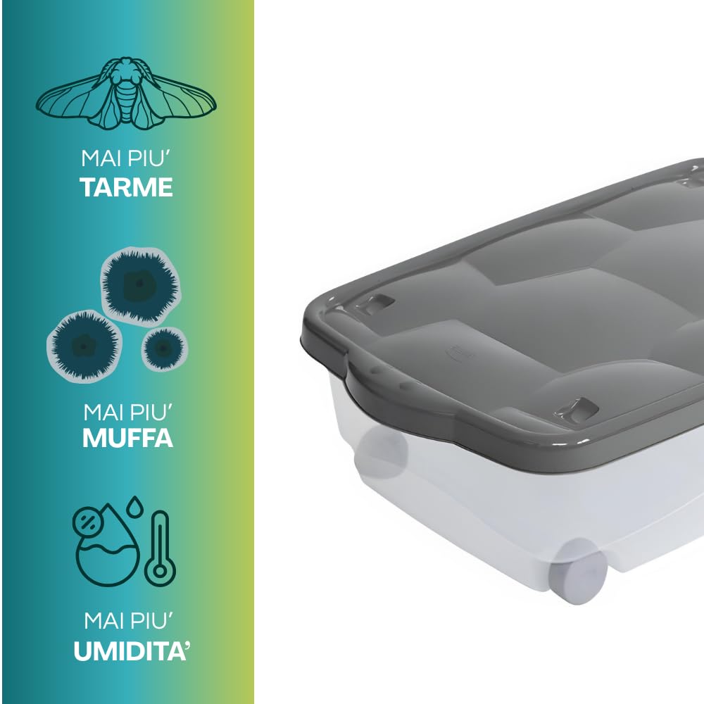 PALUPLUS 3 Contenitori Multiuso Basso con Ruote e Coperchio ANTRACITE, misura 60x40x18,5 cm e Capacità 24 Lt, Porta biancheria Trasparente, Organizer box salvaspazio per Scarpe, Vestiti - 633F -3,95