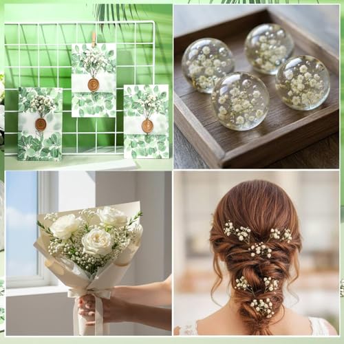 Flores Secas Presionadas White Babys Breath 130 Piezas miniatura 7