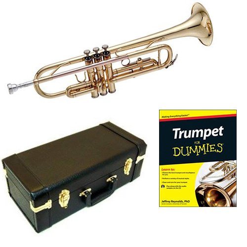 Best Classical Music For Dummies Music 2023 Where to Buy?