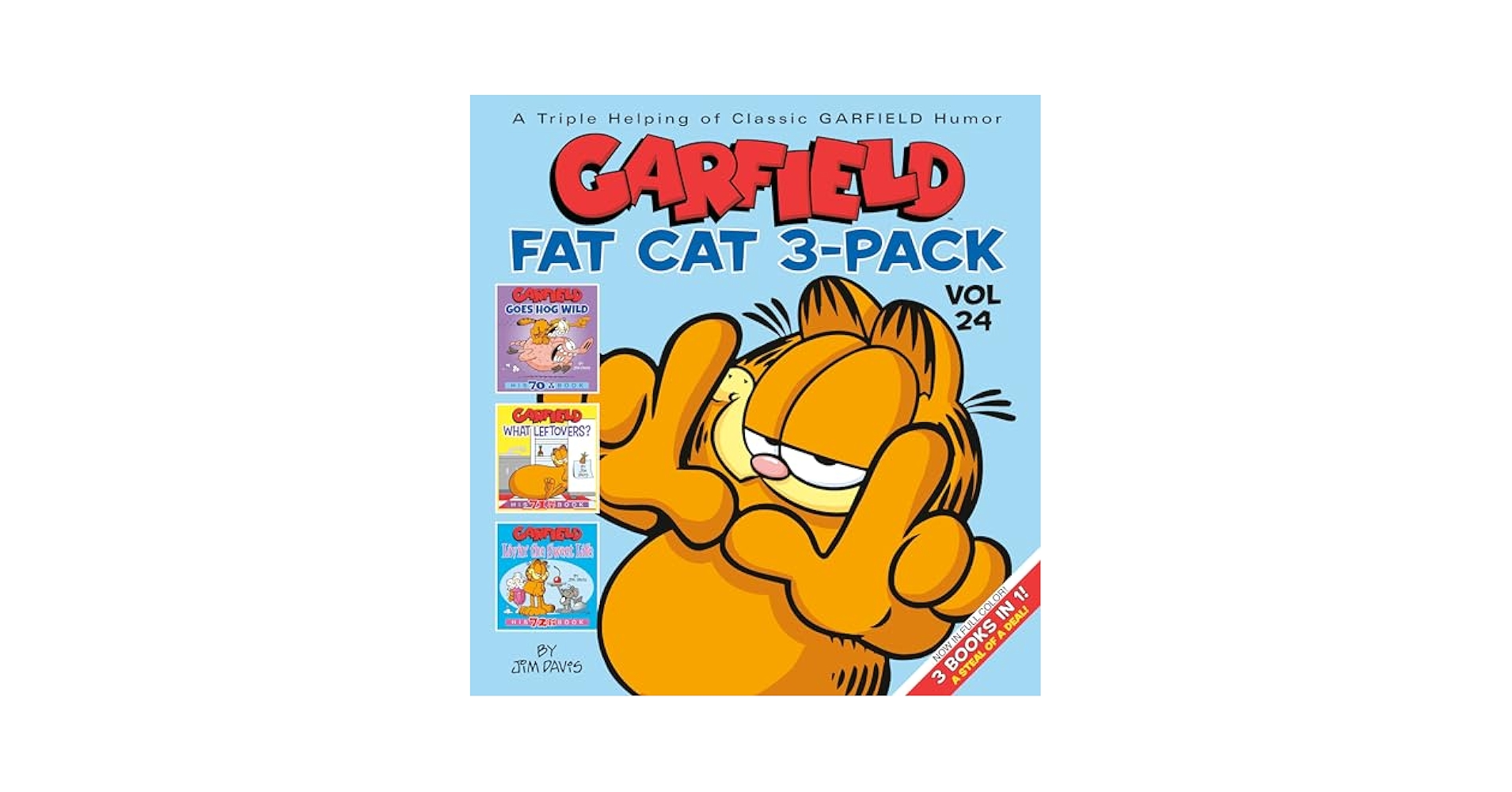Amazon.com: Garfield Fat Cat 3-Pack #24: 9780593156506
