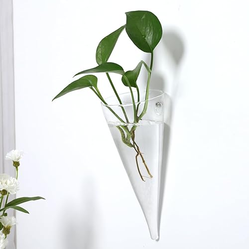Miniatura 7 de Florero de cristal para colgar en la pared, jarrón de vidrio en forma de cono, maceta suculenta, terrario de vidrio, jarrón de flores, estaciones de