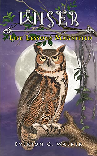 WISER: Life Lessons Magnified