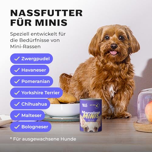 HEY HOLY Premium Nassfutter für Minis | 6X 400g Hundefutter für ausgewachsene Minis mit Huhn | Hochverträglich aus natürlichen Zutaten