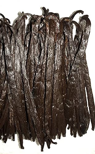 Bakto Flavors Frijoles de vainilla gourmet de Papúa Nueva Guinea, 6 pulgadas de largo, paquete de 10 - Vanilla tahitensis