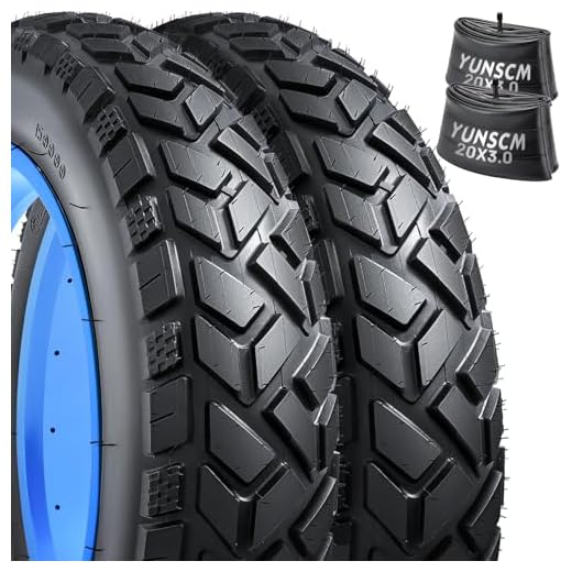 20" Heavy Duty Fat E-Bike Tires