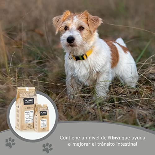 Avantis Pet Pure Grain Free Adult – Futter für Erwachsene Hunde Aller Rassen – 2 kg – 100% vollständiges und ausgewogenes Futter – mit Huhn und Getreide für Hunde mit Intoleranz und Allergie