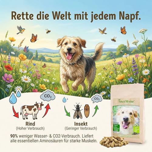 Naturpfötchen Umweltbewusst & Vital 5kg Insektenprotein Hypoallergenes Hundefutter Kaltgepresst & Getreidefre Markus Mühle Nachhaltiges Trockenfutter für Sensible Hunde Aller Rassen Natürlich(1x5kg)