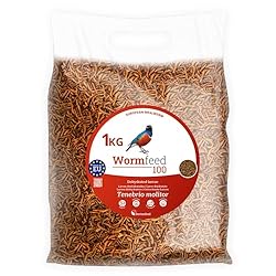 Wormfeed 100 - Gusano Harina Premium 1 kg - Larva ...: ALIMENTACIÓN EQUILIBRADA: Ofrece una opción mejorada en comparación con las fuentes convencionales de proteínas y grasas, asegurando una nutrición óptima para especies insectívoras, tanto aves como reptiles o peces. PRODUCCIÓN PREMIUM: Origen en la U...