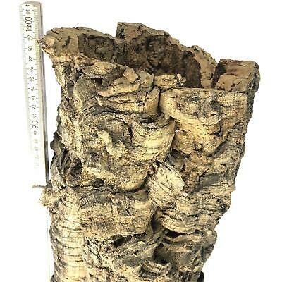 100% natürliche Korkrinde - Perfekt für Terrarium, Garten und Dekoration - Schutz vor Feuer, Hitze, Kälte und Feuchtigkeit Röhre groß etwa 80-100cm lang Außendurchmesser etwa 19-30cm
