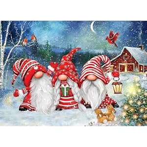 NAIMOER Diamant Painting Weihnachtsgnome 30x40cm
