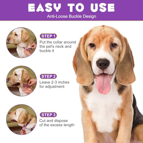 Fokroin 2 Pack Beruhigungshalsband für Hunde, Anti Stress Halsband Hund, Verstellbares Calming Collar for Dogs, Wasserdichtes Beruhigendes Pheromonen Halsband für Hunde Aller Größen