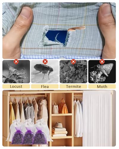 Image of 52 Pack Cedar Chips and Natural Dried Lavender Sachets Bags - Stop Clothes Damage, Cedar and Lavendar Home Fragrance for Drawers and Closets