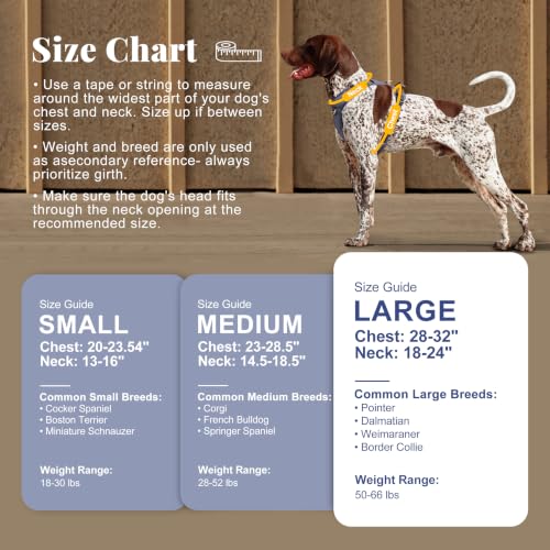 Image of Didog No Pull Dog Harness for Medium Dogs, Classic PU Leather, Blue, L