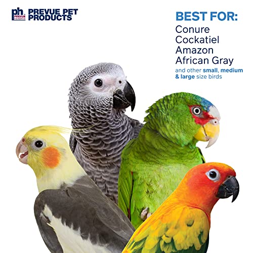 Image of Prevue Pet Products Bodacious Bites Ferris Wheel Bird Toy for Chewing | Accessories for Parakeets, Conures, Cockatiels, and Small to Large Birds, Hanging Cage Toy for Climbing