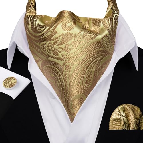 Image of Barry.Wang Ascot Ties Cravat Tie Men Paisley Plaid Scarf Self Tie Pocket Square Cufflinks Set Wedding Party