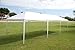 DELTA Canopies 10'x30'/12'x30'/15'x30' PE Wedding Party Tent Gazebo (10'x30' PE Tent)